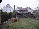 Třibřichy